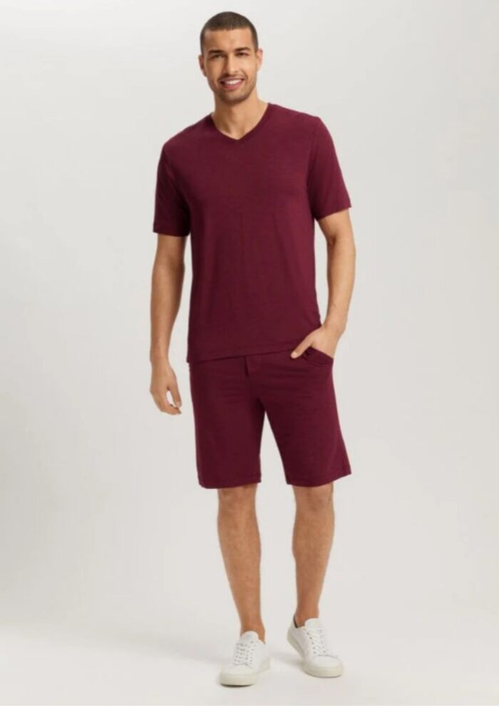 HANRO-S/SLV Shirt V-Neck - Image 6